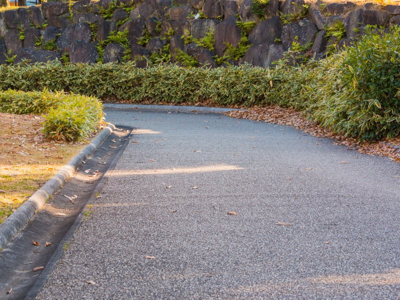 A winding asphalt path shaded by overhanging trees, bordered by lush bushes and fallen leaves.